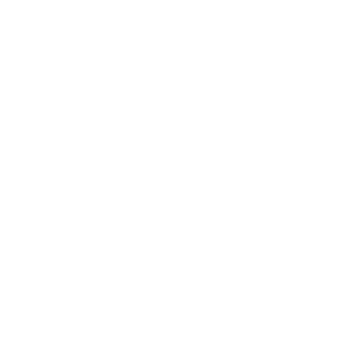 Crypto Security Icon