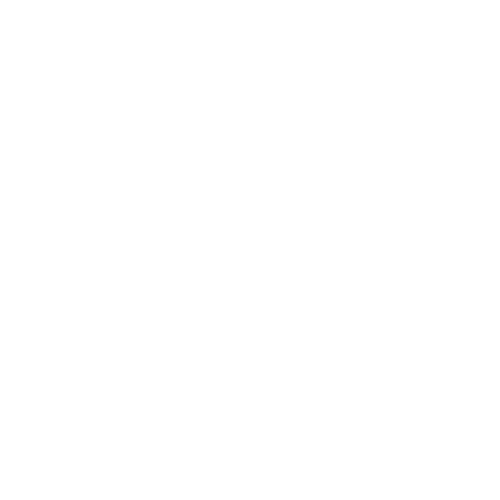 Crypto Security Icon