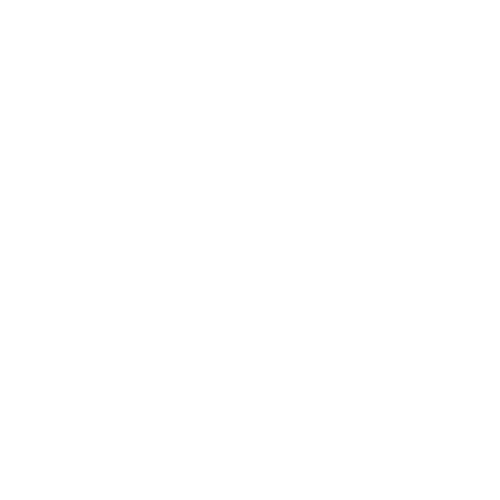 Crypto Security Icon