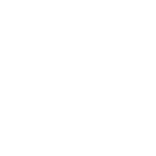 Crypto Security Icon