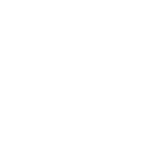 Crypto Security Icon
