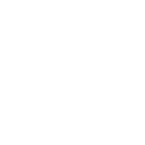Crypto Security Icon